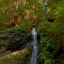 Fern Canyon Falls - Russian Gulch State Park