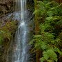 Fern Canyon Falls - Russian Gulch State Park