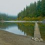 Smith River Footbridge in Morning Fog